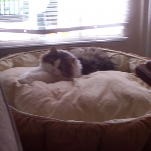 Ha ha...I stole my sister's bed!