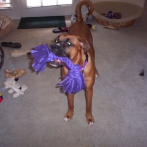 C'mon, Mom, let's play!