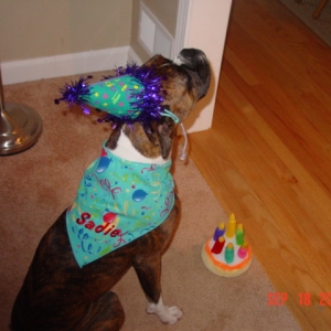Sadie's 1st Birthday!