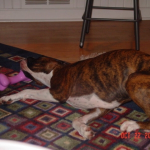 Sadie and her new toy