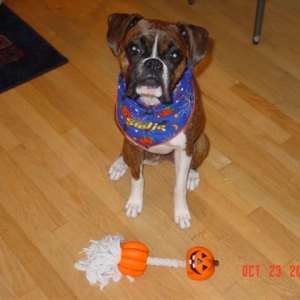 Happy Halloween Sadie!