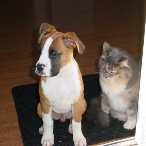 Tyson & Cleo