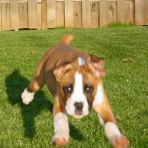 Air time!