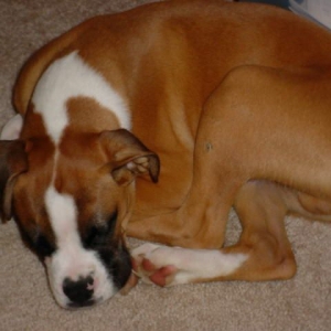Fast asleep...