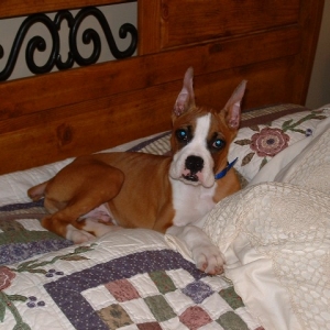 You just think this is your bed!