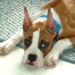 I'm sorry I ate the cat food.