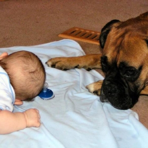 Protector