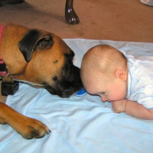 Just Sniffin