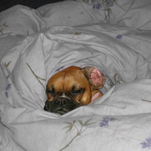 Shhhh....  Do not disturb