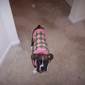 The Sweater