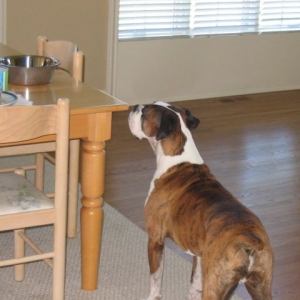 That is my bowl!