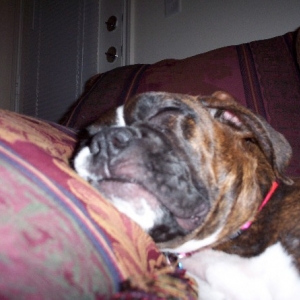 Sleepytime!