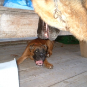 if I hide under here...you cant catch me