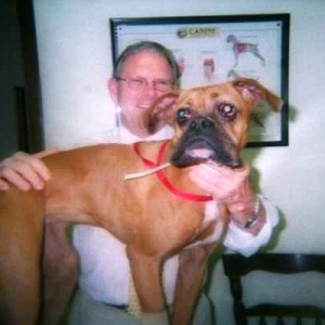 Sadie-Before Surgery