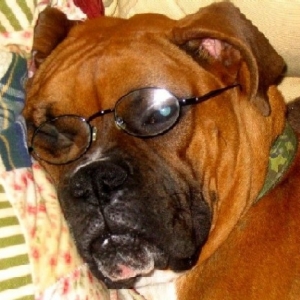 After a long night of studying