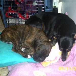 Kirra & Riley 1st Sleepover