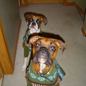 Hubble and Bella
