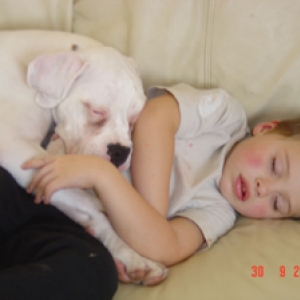 bailey asleep with my son