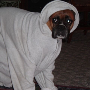 Magic Looking like ET