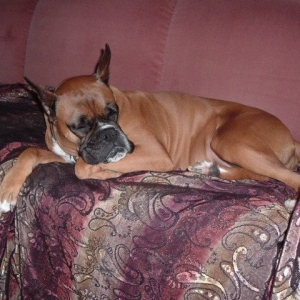 Magic sleeping on her couch