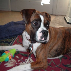 Aren't I handsome?