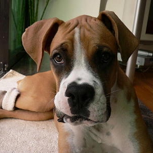 Buster yesterday!!!