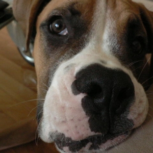I just love the camera.....