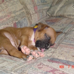 First Day Home