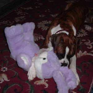 Tackle the bunny