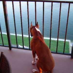 YoooHoooo...Up Here!