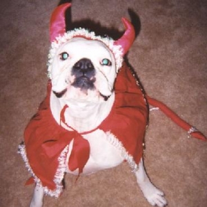 Woo Woo Devil