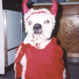 Halloween 2004