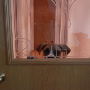 How do you open this door???