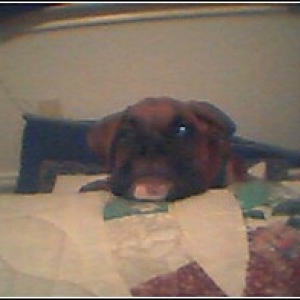I see you!