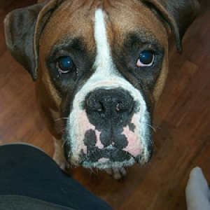 Brinx Up Close