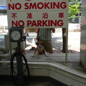 Who would dare break these rules????
