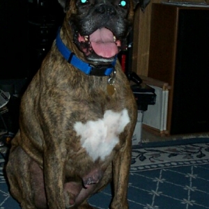Here's BUBBA!