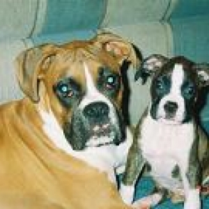 Axel & Sampson