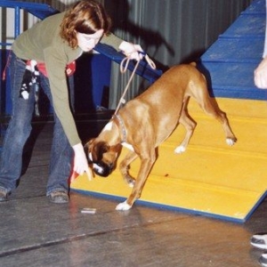 Igor in agility