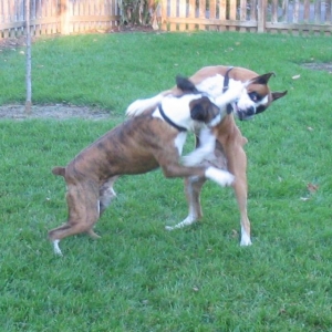 Pete lands left jab on Riggs