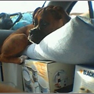 On the Road Again