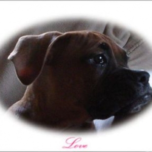 Tyson our Love bug