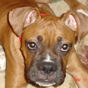 Tyson