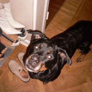 Busters "cousin" Chebazz