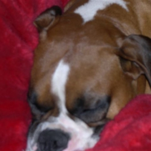 Sweet Dreams!!!!