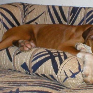 Pillow Sleep