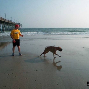 Junior's Second Time at the Beach