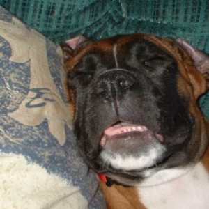 sleepy sleepy