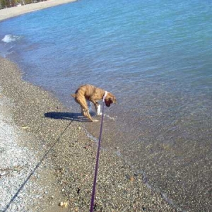cold water