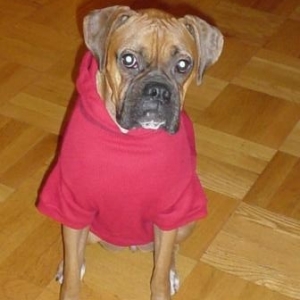 like my shirt?